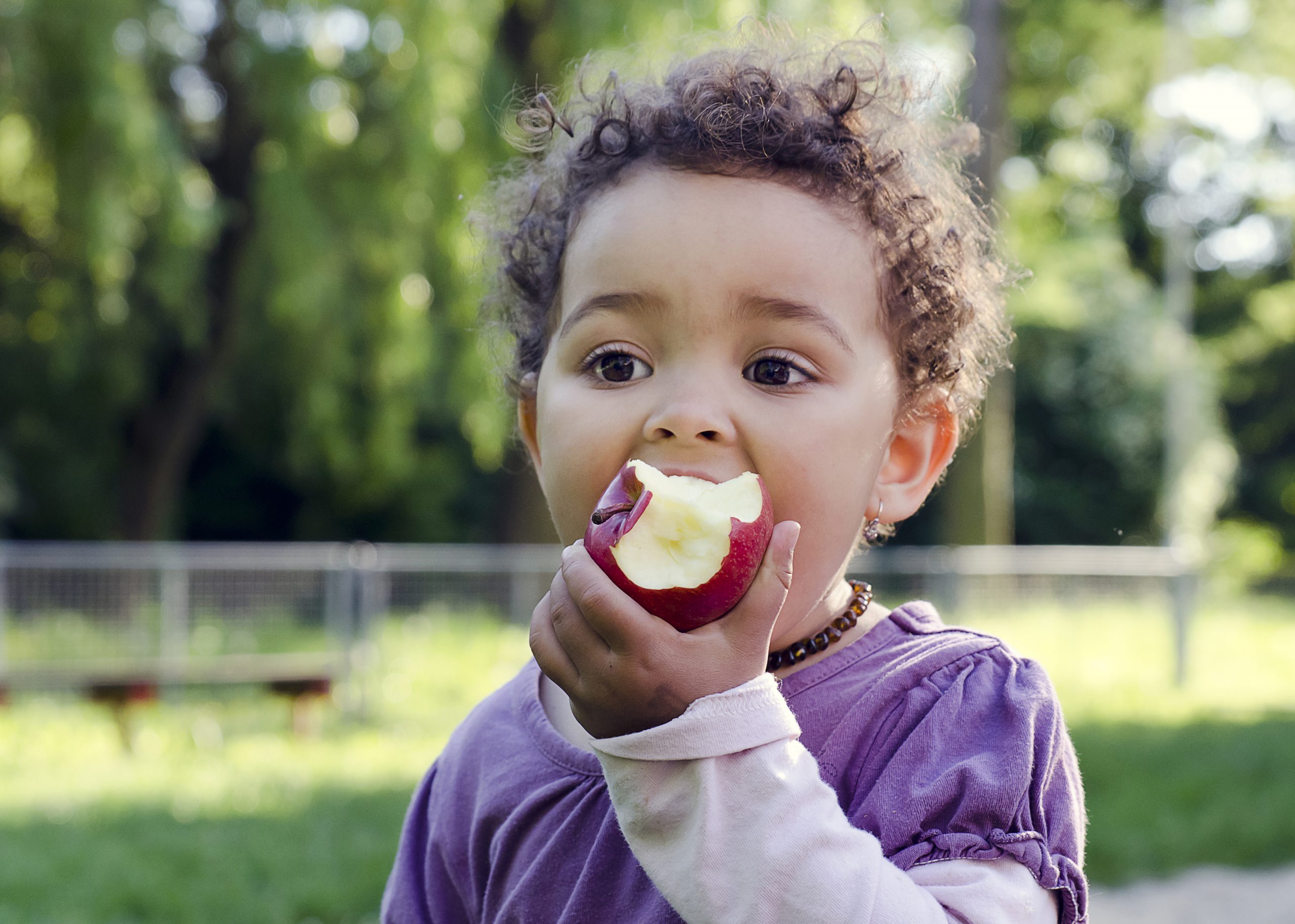 Toddler girl eating an apple